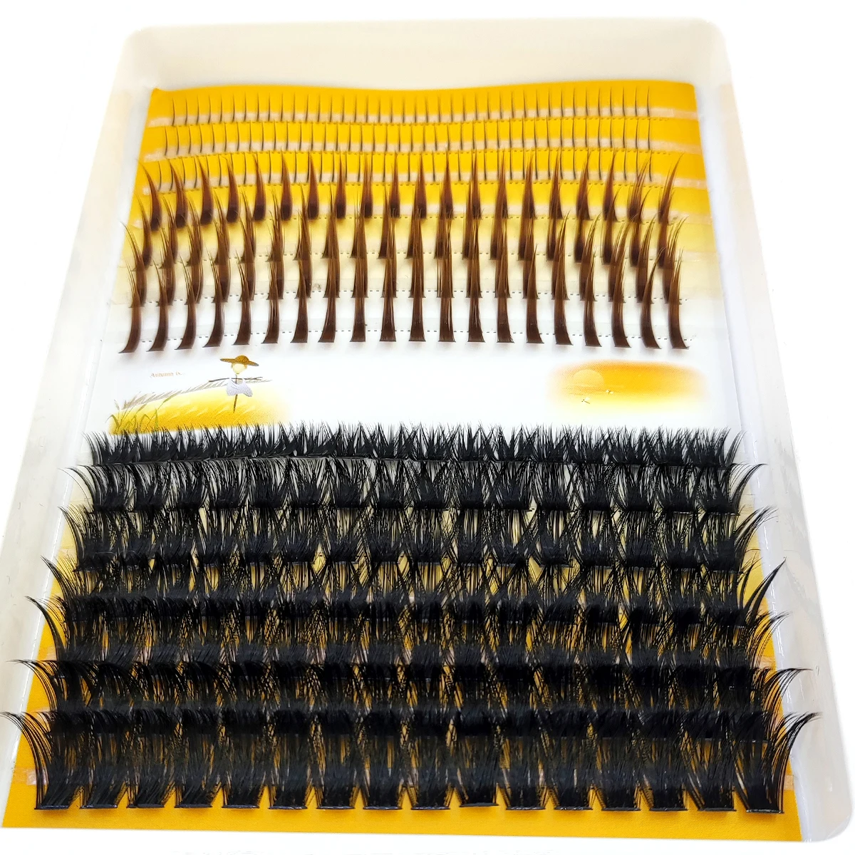 Eyelash Extension Doll Eye - Cílios postiços AMSDCN 60D-120D em cachos