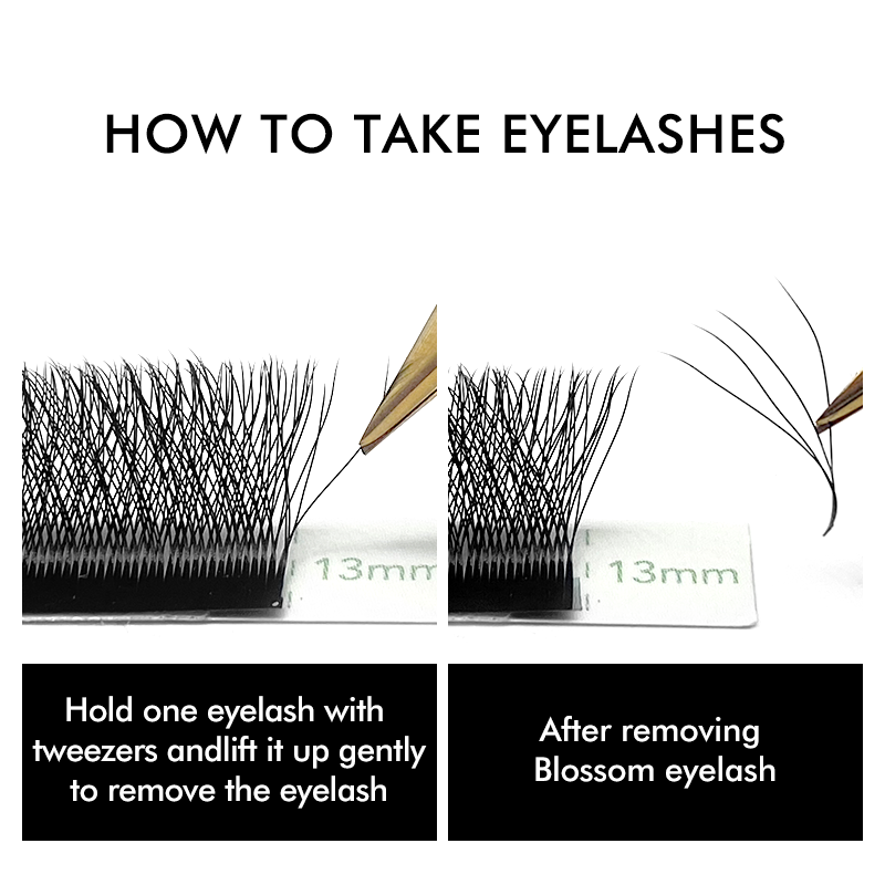 Natuhana extensões de cílios e - Lash Tray Organizer avaliação e preço